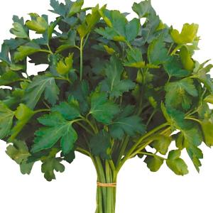 イタリアンパセリ 種の商品一覧 通販 Yahoo ショッピング