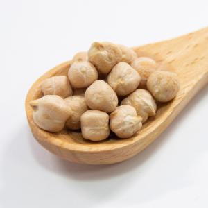 国華園 種 野菜たね マメ ひよこ豆 1袋(3...の詳細画像3