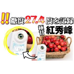 国華園 果樹苗 サクランボ 紅秀峰 青葉台 1株の詳細画像1