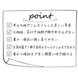 花苗 カリブラコア スーパーベル(R) ダブル...の詳細画像2