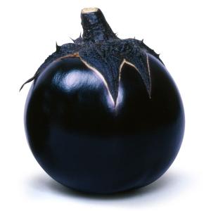 接木野菜苗 大丸ナス 接木賀茂ナス 1株 茄子 かもなす やさいなえ なえ 国華園