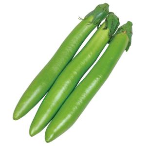 接木野菜苗 細長ナス 接木F1太刀みどり 1株 茄子 やさいなえ なえ 国華園