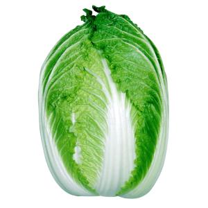国華園 種 野菜たね ハクサイ F1パワー白菜 1袋（3ml） 白菜 やさいの種