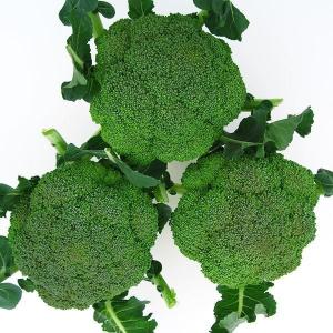 国華園 種 野菜たね ブロッコリー F1緑坊 1袋（0.2ml） やさいの種