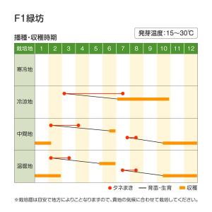 国華園 種 野菜たね ブロッコリー F1緑坊 ...の詳細画像2