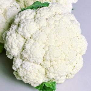 国華園 種 野菜たね カリフラワー F1パールロード 1袋（50粒） 花椰菜 やさいの種