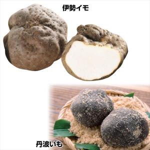 種芋 山いも おすすめつくねいもセット 2種1kg / 山芋 やまいも ヤマイモ ツクネイモ つくね芋 伊勢イモ 丹波芋 丹波いも いせいも たんばいも