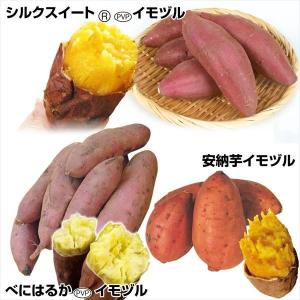 イモヅル 芋づる 大人気さつまいもイモヅルセット3種150本(各50本) / さつまいもの苗 サツマイモの苗 家庭菜園 べにはるか シルクスイート 安納芋