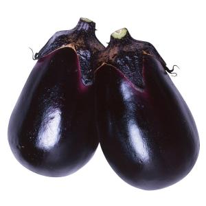 種 野菜たね ナス F1みずなす 1袋（0.5ml） やさいの種 国華園