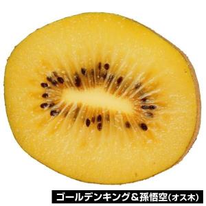 キウイ ゴールデンキング＆孫悟空 2種2株 果樹苗 国華園 : 花と緑 国