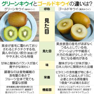 果樹苗 キウイ 香緑(メス木) 1株の詳細画像3