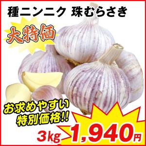 ニンニク 種球 紫ニンニク 珠むらさき (中国産)  3kg [特別企画]
