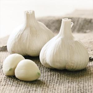 国華園 ニンニク種球 ホワイト六片 (バラ・青森...の商品画像