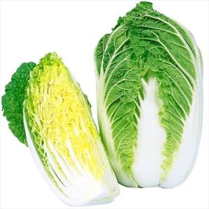国華園 種 野菜たね ミニハクサイ F1改良食べ切り大臣 1袋（3ml） 白菜 やさいの種