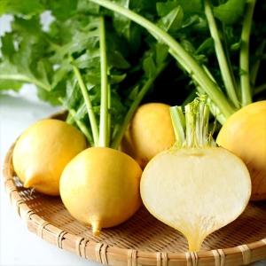 国華園 種 野菜たね カブ 味こがね PVP 1袋（1.8ml） 蕪 やさいの種