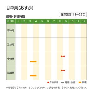 国華園 種 野菜たね リレー栽培たね 玉ねぎた...の詳細画像3
