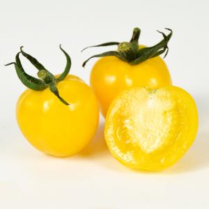 接木4連ポット野菜苗 ミニトマト 接木4連F1...の詳細画像4