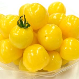 接木4連ポット野菜苗 ミニトマト 接木4連F1...の詳細画像3