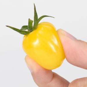 接木4連ポット野菜苗 ミニトマト 接木4連F1...の詳細画像5