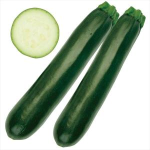 種 野菜たね ズッキーニ F1ゼルダ・ネロ 1袋（10粒） やさいの種 国華園