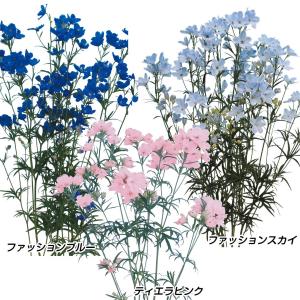 国華園 種 花たね 大輪デルフィニウムセット 3種3袋