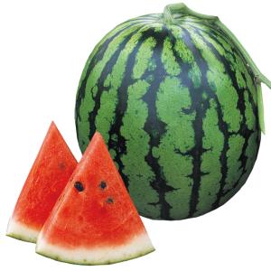 実生野菜苗 スイカ F1赤肉大玉 2株 西瓜 ...の詳細画像1