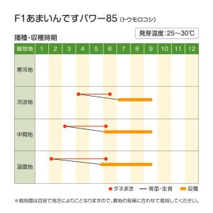 種 野菜たね トウモロコシ F1あまいんですパ...の詳細画像1