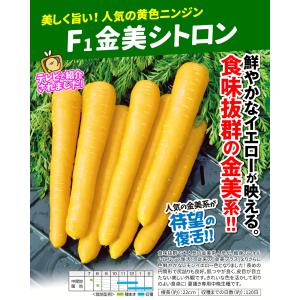 種 野菜たね ニンジン F1金美シトロン 1袋...の詳細画像1