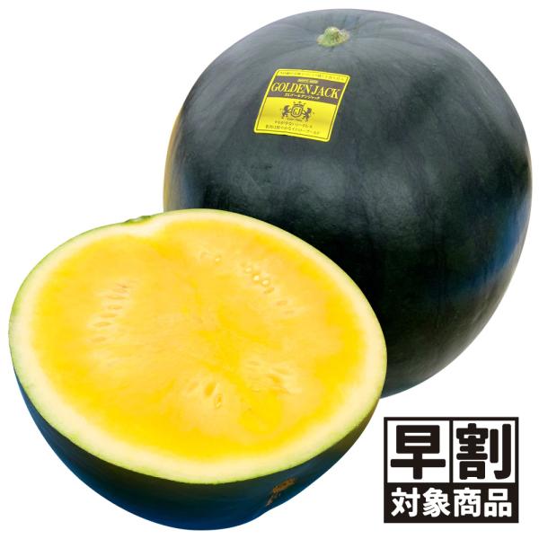 （早期予約販売たね）種 野菜たね 種なし 大玉スイカ F1 3Xゴールデンジャック 1袋（5粒）黄肉...