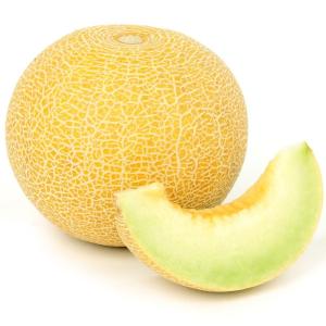 ころたん 実生野菜苗 メロン F1ころたんR 8株 自根苗 やさいなえ なえ 国華園