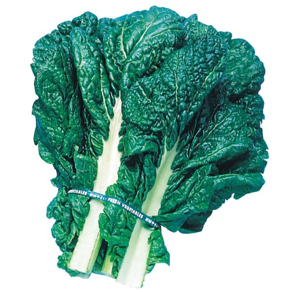 種 野菜たね 健康野菜 かつお菜 1袋（10ml） やさいの種 国華園