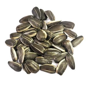 種 野菜たね 食用ひまわり 1袋(15ml)★...の詳細画像1