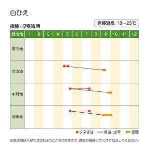 種 野菜たね 穀物 白ヒエ 1袋(30ml) ...の詳細画像1