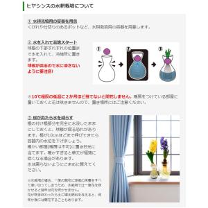 国華園 ヒヤシンス 球根 ミッドナイトスカイ ...の詳細画像1