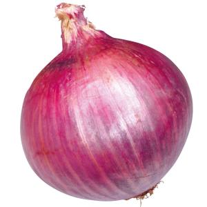 国華園 種 野菜たね タマネギ (中早生)F1ロ...の商品画像
