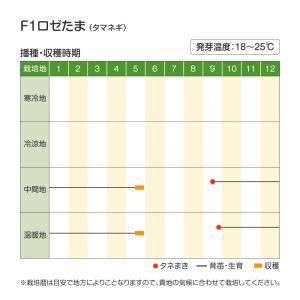 国華園 種 野菜たね タマネギ (中早生)F1...の詳細画像5