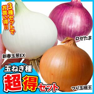 国華園 種 野菜たね タマネギ 玉ねぎ種 超得3種セット 3種3袋（各1袋）玉葱 set 玉ねぎ set やさいの種