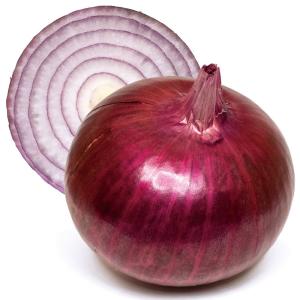 国華園 種 野菜たね タマネギ （早生）F1あま丸ルビー 1袋（2ml） 玉葱 玉ねぎ やさいの種