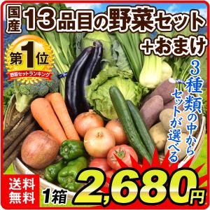野菜セット 国産  (新鮮野菜13品＋フルーツ1品) 合計14品目 選べる3種類 お届け内容固定 厳選 SET 詰合せ 送料無料