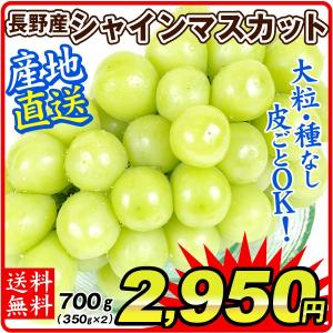 ぶどう 長野産 シャインマスカット 約350g×2 ご家庭用 パック 産地直送 葡萄 ブドウ フルーツ くだもの 食品 国華園