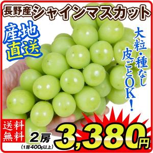 ぶどう 長野産 シャインマスカット 2房 (1房400g以上) ご家庭用 産地直送 葡萄 ブドウ フルーツ くだもの 食品 国華園