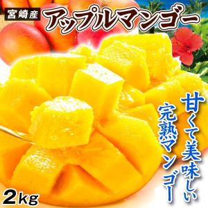 タイ産マンゴー（マハチャノック種）大玉12個入り 約4.5kg