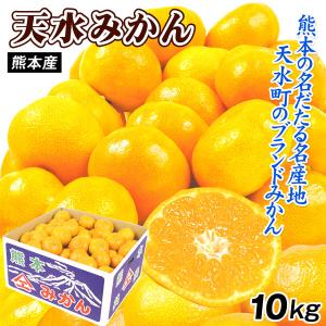 梨 鳥取産 新甘泉梨 10kg なし 甘い 和梨 フルーツ 果物 家庭用 送料