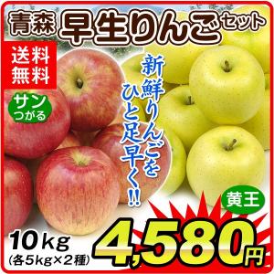 花と緑 国華園 黄王 きおう りんご Yahoo ショッピング