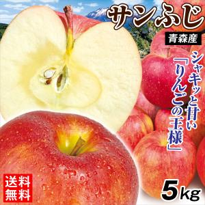 りんご 10kg サンふじ 青森産 ご家庭用 送料無料 食品 : 花と緑 国華園