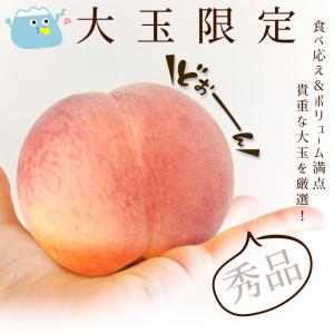 国華園 もも 1.5kg 笛吹の桃【特大】山梨...の詳細画像1