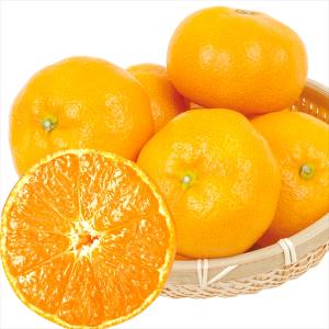 みかん 9kg 熊本産 大玉みかん ご家庭用 蜜柑 温州 大玉 柑橘 果物 フルーツ 送料無料 食品