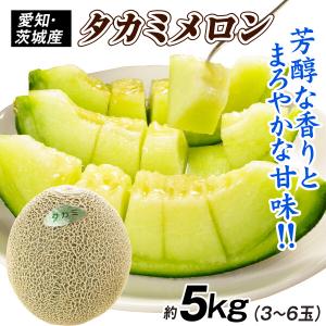 高知,熊本県産 冬の大豊作マスクメロン2〜8玉入【送料無料】1箱 訳あり