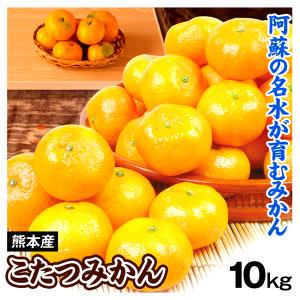 みかん 10kg こたつみかん 熊本産 温州 蜜柑 ご家庭用 送料無料 食品