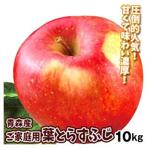 りんご 10kg 葉とらずふじ 青森産 ご家庭用 送料無料 食品｜kokkaen